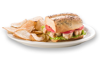 A plate with a hoagy and chips.
